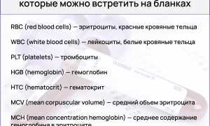 Общий анализ крови: для чего проводится и как расшифровывается