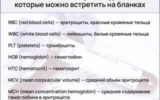 Общий анализ крови: для чего проводится и как расшифровывается