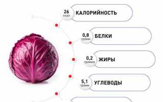 Польза красной капусты – здоровье с грядки