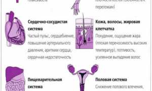 Тиреотоксикоз – что это такое и чем он опасен