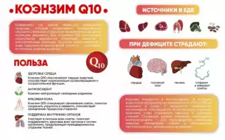 Коэнзим Q 10: где содержится и чем полезен