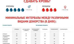 Как часто можно сдавать кровь на донорство
