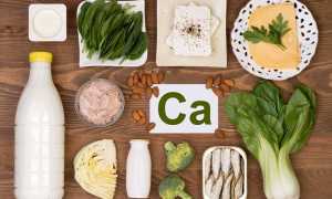 В каких продуктах содержится кальций, необходимый для костей