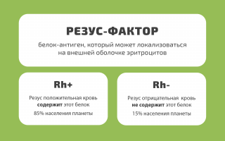 Резус-фактор – что это такое и что означает резус-несовместимость
