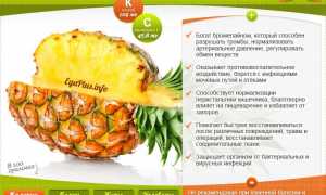 Польза ананаса и противопоказания