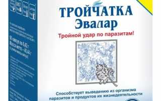 Тройчатка: мощный удар по паразитам
