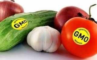 Генномодифицированные продукты – в чем вред