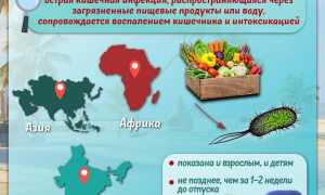 Какие прививки нужны перед поездкой на отдых