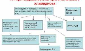 Хламидиоз — лечение, симптомы, профилактика