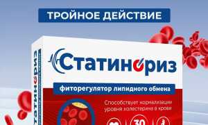 Статины – помощники сердцу и сосудам