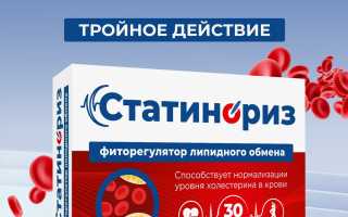 Статины – помощники сердцу и сосудам