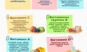 Витамины и организм человека