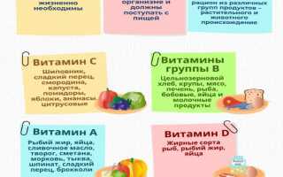 Витамины и организм человека