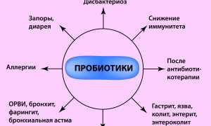 Что такое пробиотики?