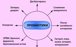 Что такое пробиотики?