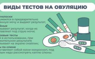 Как делать тест на овуляцию в домашних условиях