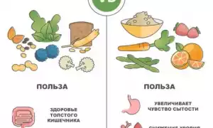В каких продуктах содержится клетчатка и ее польза