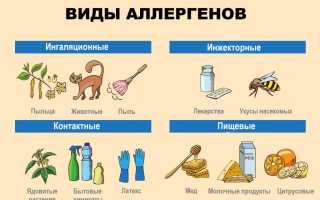 Аллергическая реакция: причины возникновения, основные проявления, лечение