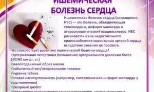 Ишемия или ишемическая болезнь сердца (ИБС) – что это такое