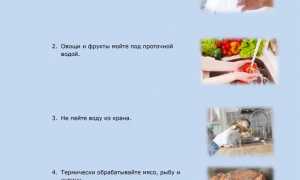 Глисты у человека – виды, профилактика, лечение