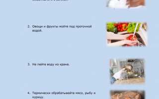 Глисты у человека – виды, профилактика, лечение