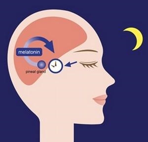melatonin
