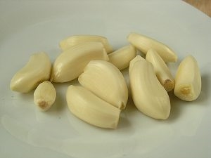 грибок