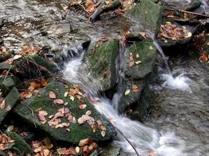 родниковая вода